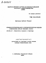 КРИОКОНСЕРВИРОВАНИЕ И МОРФОЛОГИЧЕСКАЯ ОЦЕНКА ЭМБРИОНОВ KOРOB МЯСНОГО СКОТА - тема автореферата по биологии, скачайте бесплатно автореферат диссертации