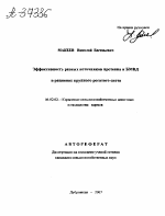 ЭФФЕКТИВНОСТЬ РАЗНЫХ ИСТОЧНИКОВ ПРОТЕИНА И БМВД В РАЦИОНАХ КРУПНОГО РОГАТОГО СКОТА - тема автореферата по сельскому хозяйству, скачайте бесплатно автореферат диссертации