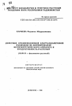 Действие средневолновой ульрафиолетовой радиации на формирование фотосинтетического аппарата и продуктивность растений - тема автореферата по биологии, скачайте бесплатно автореферат диссертации