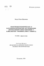 Иммуноцитохимическое и патоморфологическое исследование морбилливирусной инфекции у байкальских тюленей (PHOCA SIBIRICA) - тема автореферата по биологии, скачайте бесплатно автореферат диссертации