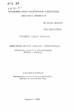 Ядовитые пауки (Aranei) Узбекистана (биология, экология и биомониторинг) - тема автореферата по биологии, скачайте бесплатно автореферат диссертации