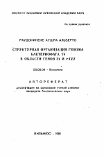 Структурная организация генома бактериофага Т4 в области генов 31 и rIII - тема автореферата по биологии, скачайте бесплатно автореферат диссертации