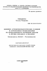 Влияние агрометеорологических условий и агротехники возделывания на продуктивность кормовой свеклы в летних посадках в Молдове - тема автореферата по сельскому хозяйству, скачайте бесплатно автореферат диссертации