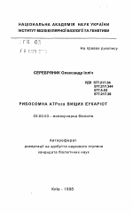 Рибосомная АТРаза высших еукариот - тема автореферата по биологии, скачайте бесплатно автореферат диссертации