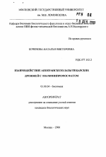 Взаимодействие апотранскетолазы пекарских дрожжей с тиаминширофосфатом - тема автореферата по биологии, скачайте бесплатно автореферат диссертации