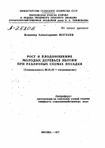 РОСТ И ПЛОДОНОШЕНИЕ МОЛОДЫХ ДЕРЕВЬЕВ ЯБЛОНИ ПРИ РАЗЛИЧНЫХ СХЕМАХ ПОСАДКИ - тема автореферата по сельскому хозяйству, скачайте бесплатно автореферат диссертации