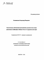 ЭКОЛОГИЧЕСКОЕ ОБОСНОВАНИЕ РАЗМЕЩЕНИЯ СЕМЕНОВОДСТВА АСТРЫ ОДНОЛЕТНЕЙ (CALLISTEPHUS CHINENSIS NEES) В СТАВРОПОЛЬСКОМ КРАЕ - тема автореферата по сельскому хозяйству, скачайте бесплатно автореферат диссертации