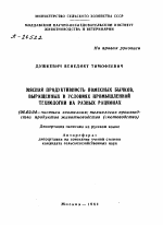 МЯСНАЯ ПРОДУКТИВНОСТЬ ПОМЕСНЫХ БЫЧКОВ, ВЫРАЩЕННЫХ В УСЛОВИЯХ ПРОМЫШЛЕННОЙ ТЕХНОЛОГИИ НА РАЗНЫХ РАЦИОНАХ - тема автореферата по сельскому хозяйству, скачайте бесплатно автореферат диссертации