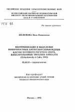 Идентификация и выделение поверхностных антигенов лимфоидных клеток крупного рогатого скота, инвазированных Theileria annulata (Dshunkowsky et Luhs, 1904) - тема автореферата по биологии, скачайте бесплатно автореферат диссертации