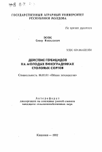 Действие гербицидов на молодых виноградниках столовых сортов - тема автореферата по сельскому хозяйству, скачайте бесплатно автореферат диссертации