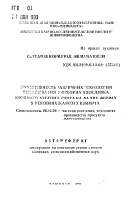 Эффективность различных технологий выращивания и откорма молодняка крупного рогатого скота на малых фермах в условиях жаркого климата - тема автореферата по сельскому хозяйству, скачайте бесплатно автореферат диссертации