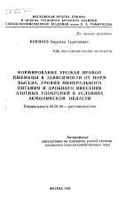 Формирование урожая яровой пшеницы в зависимости от норм высева, уровня минерального питания и дробного внесения азотных удобрений в условиях Акмолинской области - тема автореферата по сельскому хозяйству, скачайте бесплатно автореферат диссертации