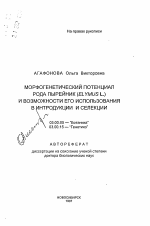 Морфогенетический потенциал рода пырейник (ELYMUS L. ) и возможности его использования в интродукции и селекции - тема автореферата по биологии, скачайте бесплатно автореферат диссертации