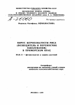 ВИРУС ШТРИХОВАТОСТИ РИСА (ВОЗБУДИТЕЛЬ И ПЕРЕНОСЧИК ЗАБОЛЕВАНИЯ) В ПРИМОРСКОМ КРАЕ - тема автореферата по сельскому хозяйству, скачайте бесплатно автореферат диссертации