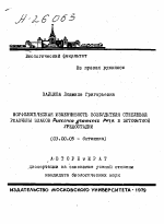 МОРФОЛОГИЧЕСКАЯ ИЗМЕНЧИВОСТЬ ВОЗБУДИТЕЛЯ СТЕБЛЕВОЙ РЖАВЧИНЫ ЗЛАКОВ PUCCINIA GXAMINIS PETS. В ЭКТОФИТНОЙ УРЕДОСТАДИИ - тема автореферата по биологии, скачайте бесплатно автореферат диссертации