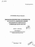 БИОМОРФОЛОГИЧЕСКИЕ ОСОБЕННОСТИ И СТРУКТУРА ЦЕНОПОПУЛЯЦИЙ POLEMONIUM CAER ULEUM L. В ПРИРОДЕ И В КУЛЬТУРЕ - тема автореферата по биологии, скачайте бесплатно автореферат диссертации