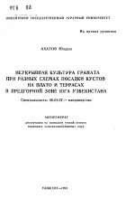 Неукрывная культура граната при разных схемах посадки кустов на плато и террасах в предгорной зоне Юга Узбекистана - тема автореферата по сельскому хозяйству, скачайте бесплатно автореферат диссертации