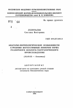 Анатомо-морфологические особенности строения вегетативных побегов терна различного эколого-географического происхождения - тема автореферата по биологии, скачайте бесплатно автореферат диссертации