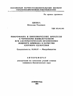 МИКРОФЛОРА И БИОХИМИЧЕСКИЕ ПРОЦЕССЫ В ЧЕРНОЗЕМЕ ВЫЩЕЛОЧЕННОМ ПРИ СИСТЕМАТИЧЕСКОМ ПРИМЕНЕНИИ ЖИДКОГО АММИАКА В КАЧЕСТВЕ АЗОТНОГО УДОБРЕНИЯ - тема автореферата по биологии, скачайте бесплатно автореферат диссертации