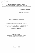 Влияние производных аденозина на нейрональную дифференцировку клеток феохромоцитомы РС12 - тема автореферата по биологии, скачайте бесплатно автореферат диссертации