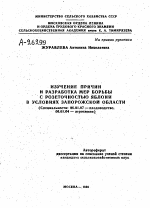 ИЗУЧЕНИЕ ПРИЧИН И РАЗРАБОТКА МЕР БОРЬБЫ С РОЗЕТОЧНОСТЬЮ ЯБЛОНИ В УСЛОВИЯХ ЗАПОРОЖСКОЙ ОБЛАСТИ - тема автореферата по сельскому хозяйству, скачайте бесплатно автореферат диссертации