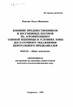 Влияние предшественников и бессменных посевов на агрофитоценоз озимой пшеницы в условиях зоны достаточного увлажнения Центрального Предкавказья - тема автореферата по сельскому хозяйству, скачайте бесплатно автореферат диссертации