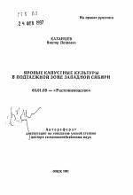 Яровые капустные культуры в подтаежной зоне Западной Сибири - тема автореферата по сельскому хозяйству, скачайте бесплатно автореферат диссертации