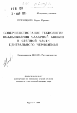 Совершенствование технологии возделывания сахарной свеклы в степной части Центрального Черноземья - тема автореферата по сельскому хозяйству, скачайте бесплатно автореферат диссертации