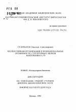 Молекулярная организация и функциональные особенности структурных белков бактериофага Т4 - тема автореферата по биологии, скачайте бесплатно автореферат диссертации