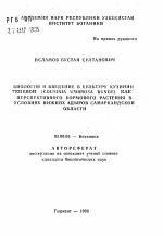 Биология и введение в культуру кузинии теневой (Cousinia umbrosa Bunge) как перспективного кормового растения в условиях нижних адыров Самаркандской области - тема автореферата по биологии, скачайте бесплатно автореферат диссертации