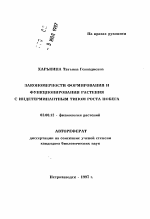 Закономерности формирования и функционирования растения с индетерминантным типом роста побега - тема автореферата по биологии, скачайте бесплатно автореферат диссертации