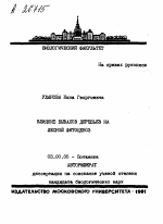 ВЛИЯНИЕ ВЫВАЛОВ ДЕРЕВЬЕВ НА ЛЕСНОЙ ФИТОЦЕНОЗ - тема автореферата по биологии, скачайте бесплатно автореферат диссертации