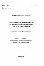 Сомаклональная вариабельность по признаку солеустойчивости в культуре клеток риса - тема автореферата по биологии, скачайте бесплатно автореферат диссертации