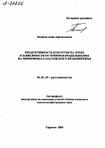 ПРОДУКТИВНОСТЬ КУКУРУЗЫ НА ЗЕРНО В ЗАВИСИМОСТИ ОТ ПРИЕМОВ ВОЗДЕЛЫВАНИЯ НА ЧЕРНОЗЕМАХ САРАТОВСКОГО ПРАВОБЕРЕЖЬЯ - тема автореферата по сельскому хозяйству, скачайте бесплатно автореферат диссертации