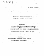 СИСТЕМА ЗАЩИТЫ КУКУРУЗЫ ОТ БОЛЕЗНЕЙ ПРИ ИНТЕНСИВНОЙ ТЕХНОЛОГИИ ВЫРАЩИВАНИЯ. - тема автореферата по сельскому хозяйству, скачайте бесплатно автореферат диссертации