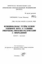 Функциональные группы белков головного мозга в условиях гипероксии, гипоксии и их сочетания с гиперкапнией - тема автореферата по биологии, скачайте бесплатно автореферат диссертации