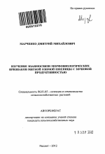 Изучение взаимосвязи морфобиологических признаков мягкой озимой пшеницы с зерновой продуктивностью - тема автореферата по сельскому хозяйству, скачайте бесплатно автореферат диссертации