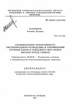 Сравнительная эффективность чистопородного разведения и скрещивания крупной белой и западного типа новой мясной пород свиней - тема автореферата по сельскому хозяйству, скачайте бесплатно автореферат диссертации