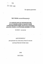 Сравнительная морфология, классификация и филогения свободноживущих нематод отряда ARAEOLAIMIDA и примыкающих групп - тема автореферата по биологии, скачайте бесплатно автореферат диссертации