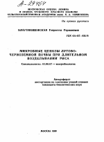 МИКРОБНЫЕ ЦЕНОЗЫ ЛУГОВО-ЧЕРНОЗЕМНОЙ ПОЧВЫ ПРИ ДЛИТЕЛЬНОМ ВОЗДЕЛЫВАНИИ РИСА - тема автореферата по биологии, скачайте бесплатно автореферат диссертации