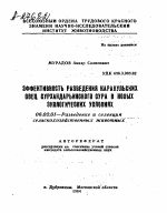 ЭФФЕКТИВНОСТЬ РАЗВЕДЕНИЯ КАРАКУЛЬСКИХ ОВЕЦ СУРХАНДАРЬИНСКОГО СУРА В НОВЫХ ЭКОЛОГИЧЕСКИХ УСЛОВИЯХ - тема автореферата по сельскому хозяйству, скачайте бесплатно автореферат диссертации