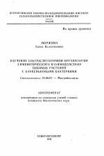 Изучение ультраструктурной организации симбиотического взаимодействия бобовых растений с клубеньковыми бактериями - тема автореферата по биологии, скачайте бесплатно автореферат диссертации