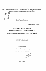 Изучение механизма действия макроциклических трихотеценов из Dendrodochium toxicum Pidopl. et Bilai. - тема автореферата по биологии, скачайте бесплатно автореферат диссертации