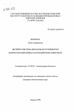 Экспрессия гена инулазы KLUYVEROMYCES MARXIANUS в штаммах SACCHAROMYCES CEREVISIAE - тема автореферата по биологии, скачайте бесплатно автореферат диссертации