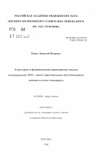 Структурная и функциональная характеристика тандема олигопиримадин/AUG- нового трансляционного ЦНС-действующего элемента в геноме полиовируса - тема автореферата по биологии, скачайте бесплатно автореферат диссертации