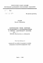 Формирование типов вырубок и особенности лесовозобновления в условиях Сколевских Бескид (на примере лесных предприятий Львовской области) - тема автореферата по сельскому хозяйству, скачайте бесплатно автореферат диссертации