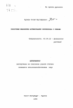 Клеточные механизмы формирования корнеплода у свеклы - тема автореферата по биологии, скачайте бесплатно автореферат диссертации