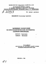 ВЛИЯНИЕ УДОБРЕНИЙ НА ПРОТЕОЛЙТИЧЕСКИЕ ФЕРМЕНТЫ ОЗИМОЙ ПШЕНИЦЫ - тема автореферата по биологии, скачайте бесплатно автореферат диссертации