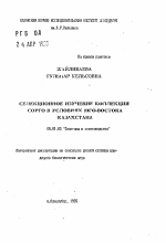 Селекционное изучение коллекции сорго в условиях юго-востока Казахстана - тема автореферата по сельскому хозяйству, скачайте бесплатно автореферат диссертации