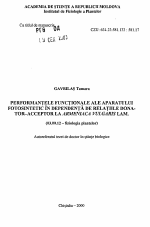 Функциональные особенности фотосинтетического аппарата в зависимости от донорно-акцепторнькотношений у Armeniaca vulgaris Lam. - тема автореферата по биологии, скачайте бесплатно автореферат диссертации